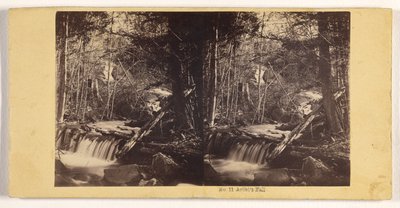 Der Fall des Künstlers da John P. Soule