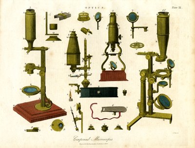 Microscopi composti dell