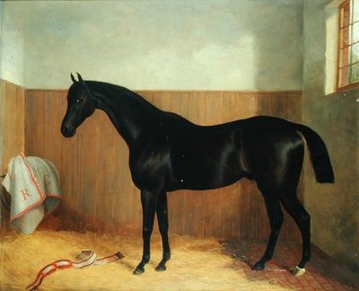 Tommy, ritratto di un cavallo, c.1870 da John Paul