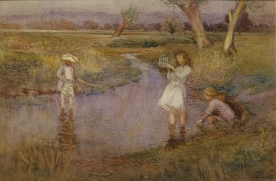 Catturare i Pesciolini - Town Meadows, Maidstone, Kent da John Pedder