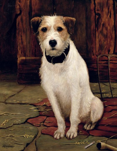 Ritratto di Terrier da John Rabone Harvey