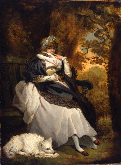 Quel che volete, c.1791 da John Raphael Smith