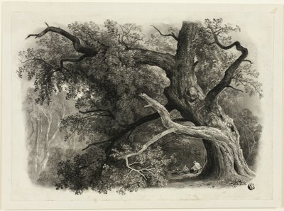 Vecchio albero nella Billah - Foresta di Sherwood da John Rawson Walker