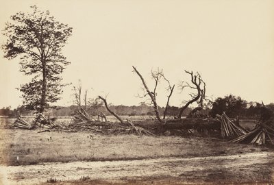 Linea Estrema delle Opere Confederali, Cold Harbor, aprile 1865 da John Reekie