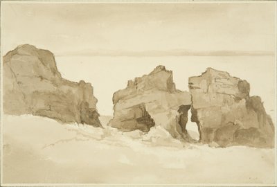 Rocce sul lato nord di Flat Holm [Castle Rock] da John Reverend Eden
