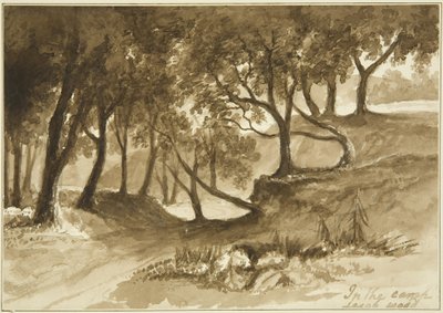 Vista nel Campo di Burwalls, Leigh Woods da John Reverend Eden