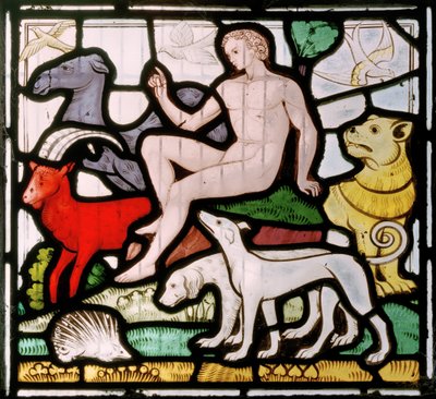 Daylesford, San Pietro, Clayton & Bell, John Richard Clayton, Adamo tra gli animali, Finestra della Creazione da John Richard Clayton