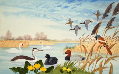 Nature Scene (gouache on paper) da John Rignall