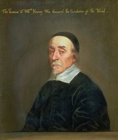 Ritratto di William Harvey da John Riley