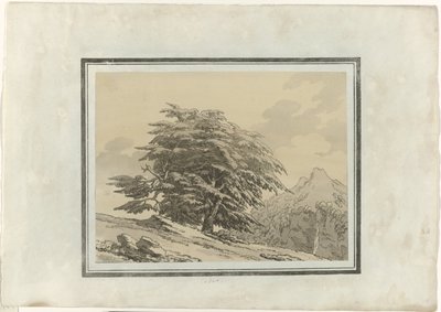 Cedro da John Robert Cozens