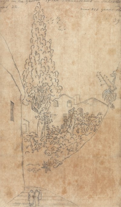 Cipresso nel giardino dei Francescani a Salerno da John Robert Cozens