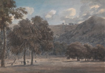 Il Parco degli Astroni da John Robert Cozens
