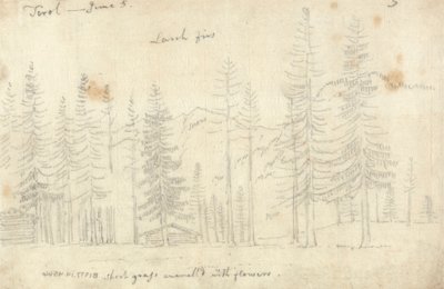Nel Tirolo da John Robert Cozens