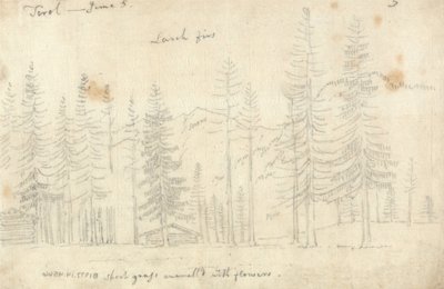 Nel Tirolo da John Robert Cozens