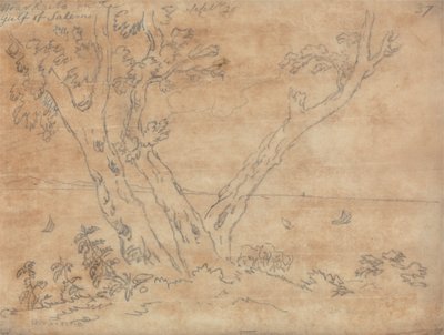 Vicino a Raito, nel Golfo di Salerno da John Robert Cozens