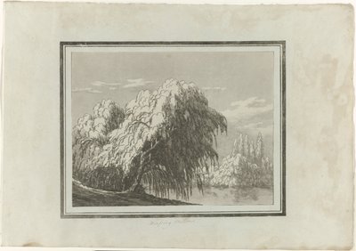 Salice piangente da John Robert Cozens