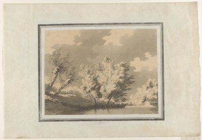 Salice da John Robert Cozens