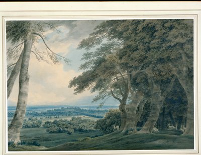 Castello di Windsor da Sud-Ovest, c.1787-99 da John Robert Cozens