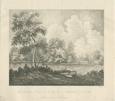 Cattedrale di Lichfield - Vista ovest sud-ovest (distanza) da John Robert Fernyhough