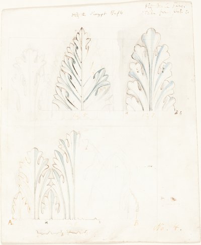 Studio ornamentale con motivo di acanto per "Le pietre di Venezia" da John Ruskin