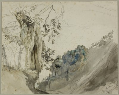 Castagno spagnolo da John Ruskin