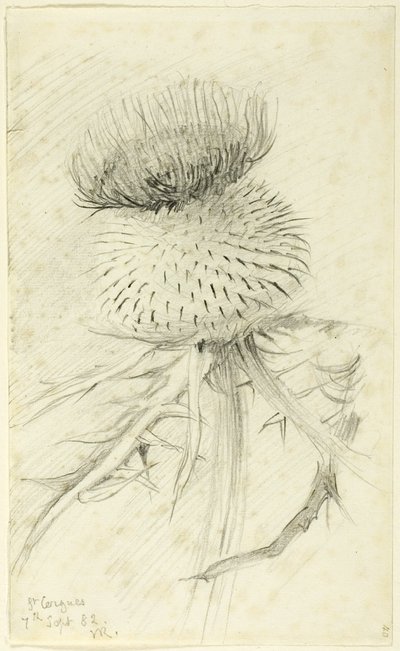 San Cergues da John Ruskin