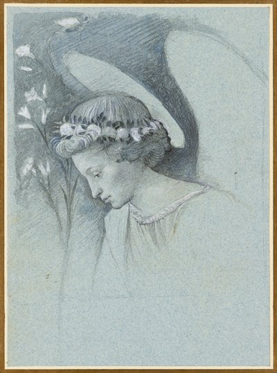 Studio della testa dell