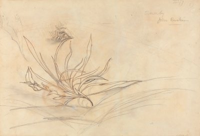 La riva rocciosa di un fiume da John Ruskin
