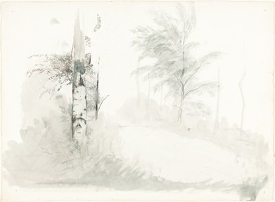 Studio di Albero da John Ruskin