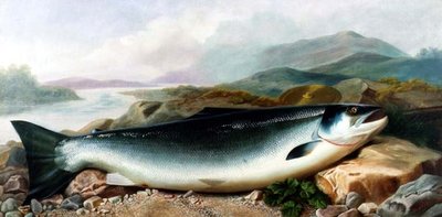 Natura morta di un salmone su una riva di un fiume in un paesaggio montuoso da John Russell