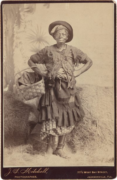 Ritratto di donna, c. 1890 (foto) da John S. Mitchell