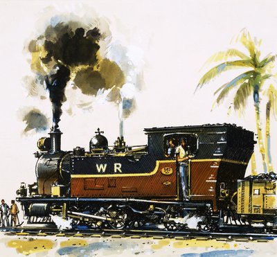 Locomotiva cisterna a scartamento ridotto della classe WT di Bagnall sulle Western Railways da John S. Smith