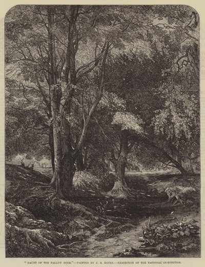 Rifugio del cervo da John Samuel Raven