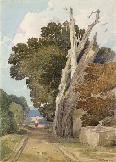 Un Castagno Spagnolo Colpito da un Fulmine da John Sell Cotman