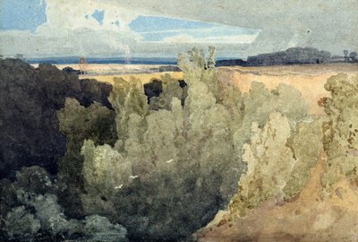 Brignall Banks sul Greta da John Sell Cotman
