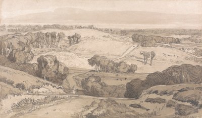Holt Heath, vicino a Norwich da John Sell Cotman