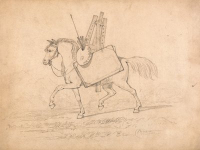 Cavallo carico di oggetti d