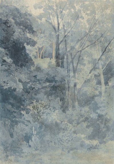 Nel parco di Rokeby da John Sell Cotman