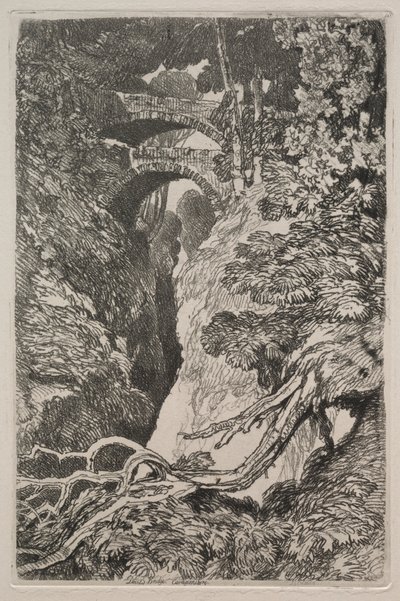 Liber Studiorum: Ponte del Diavolo, Cardiganshire da John Sell Cotman