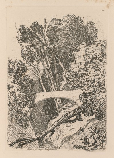 Liber Studiorum: Tavola 11: Parsons Bridge, Cardingshire, 1838 da John Sell Cotman