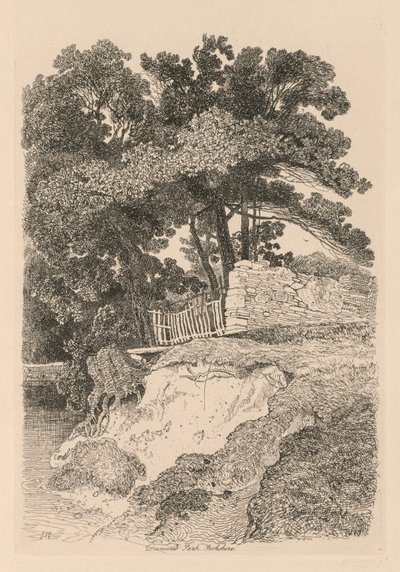 Liber Studiorum: Tavola 13, Duncomb Park, Yorkshire: No. 5 da John Sell Cotman