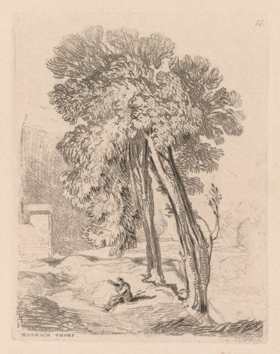 Liber Studiorum: Tavola 18, Alberi a Norwich Thorp, Norfolk da John Sell Cotman