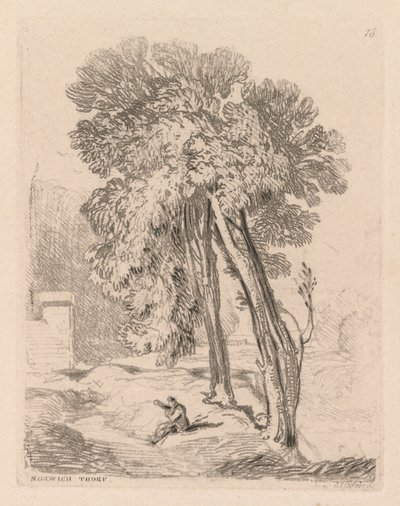 Liber Studiorum: Alberi a Norwich Thorp, Norfolk da John Sell Cotman