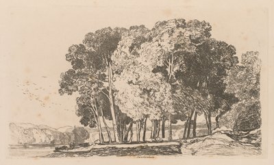 Liber Studiorum: Tavola 3, Alberi vicino a Twickenham da John Sell Cotman