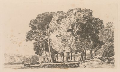 Liber Studiorum: Tavola 3, Alberi vicino a Twickenham, 1838 da John Sell Cotman