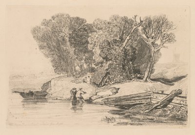 Liber Studiorum: Tavola 7, Postwick Grove, Norfolk, 1838 da John Sell Cotman