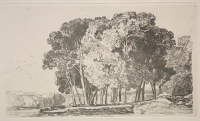 Liber Studiorum: Twickenham da John Sell Cotman