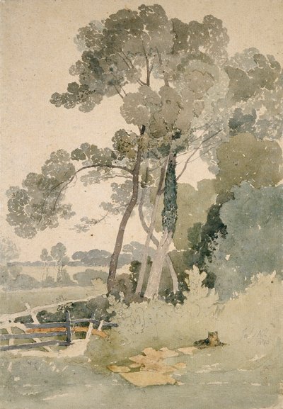 Vicino a Brandsby, Yorkshire da John Sell Cotman