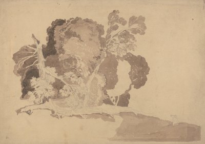 Studio degli alberi da John Sell Cotman