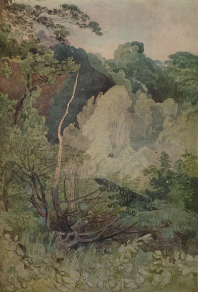 Alberi vicino al fiume Greta da John Sell Cotman